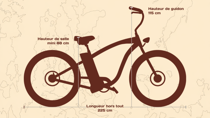 Gorille Mâle non homologué