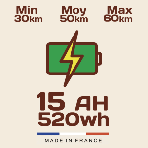 Option batterie 520Wh  (avec l&rsquo;achat d&rsquo;un vélo) Gorille Cycles