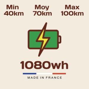 Option batterie 1080Wh Gorille Cycles